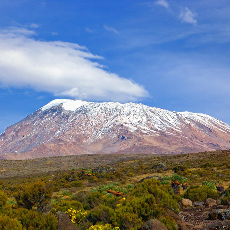 Mt. Kilimanjaro climbing on Rongai Route